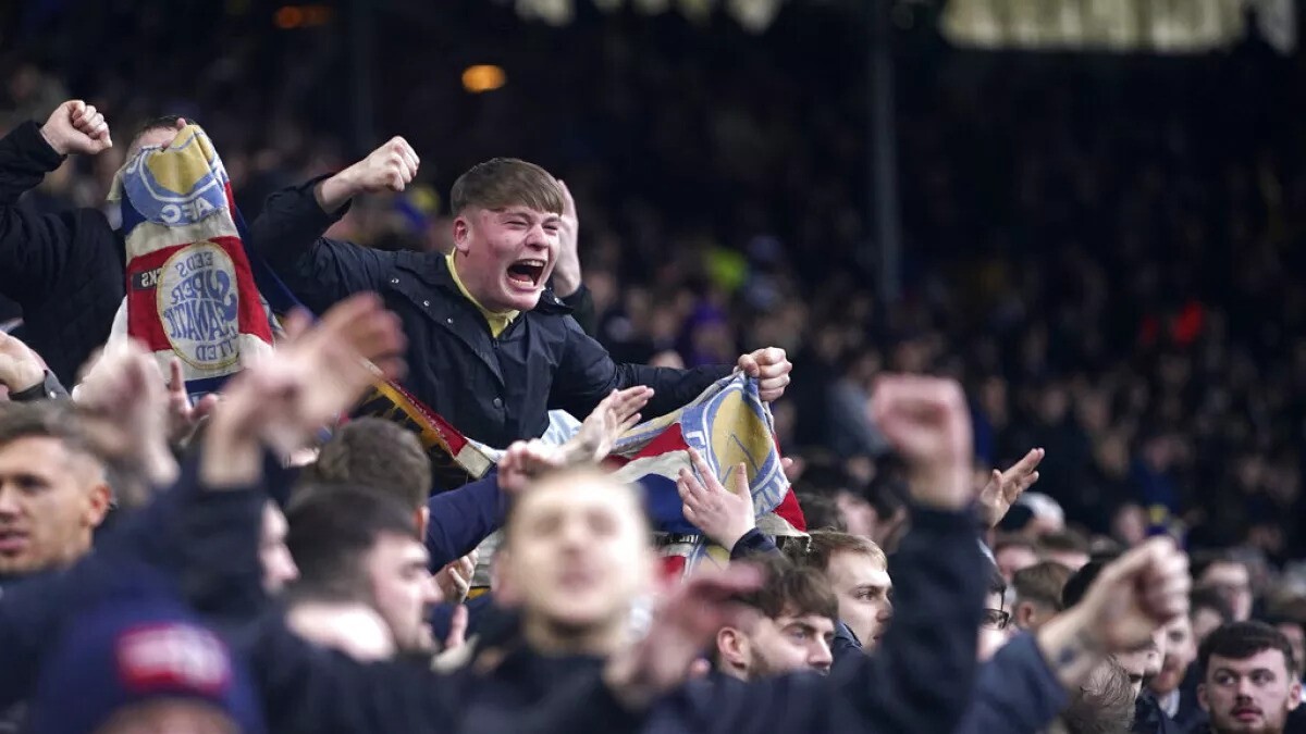 football fans celebrating